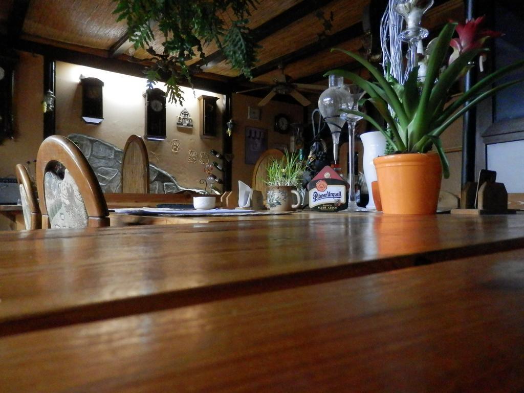 Domino Guest house 4*